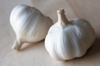 Garlic clipart