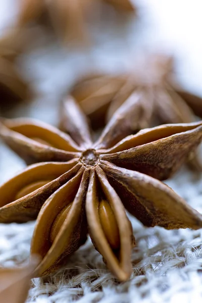 Семена аниса — стоковое фото