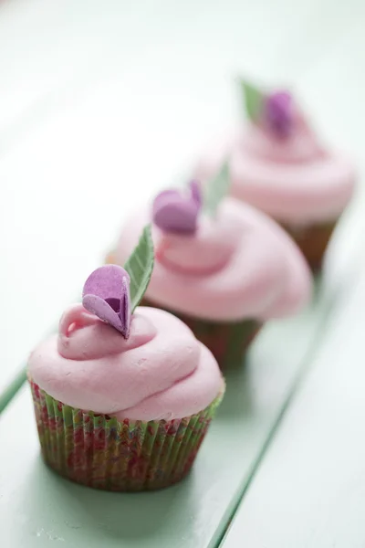 Pastel cupcakes — Stock Photo, Image