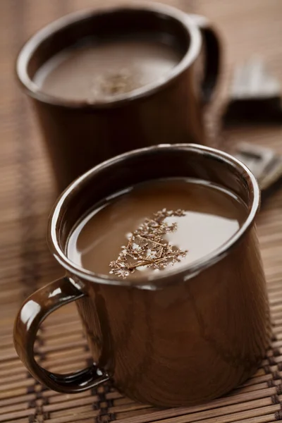Cioccolata calda — Foto Stock