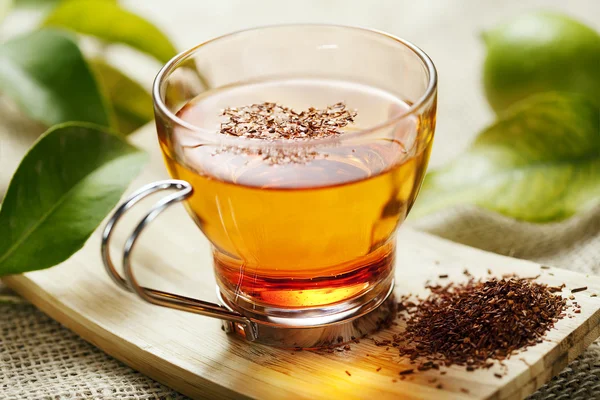 Rooibos tea — Stock Photo, Image