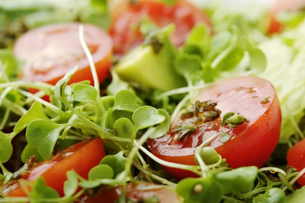 Close-up van salade — Stockfoto