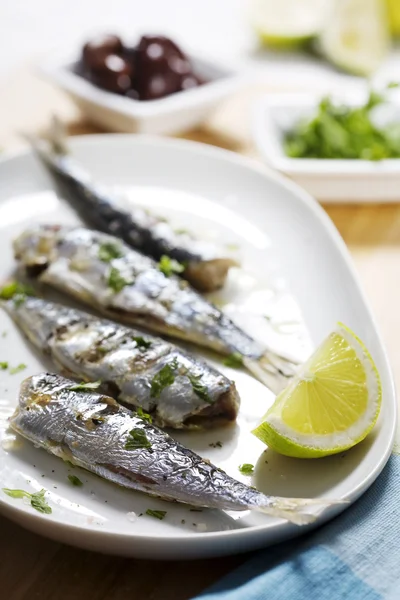 Grilled sardines — Stock Photo, Image