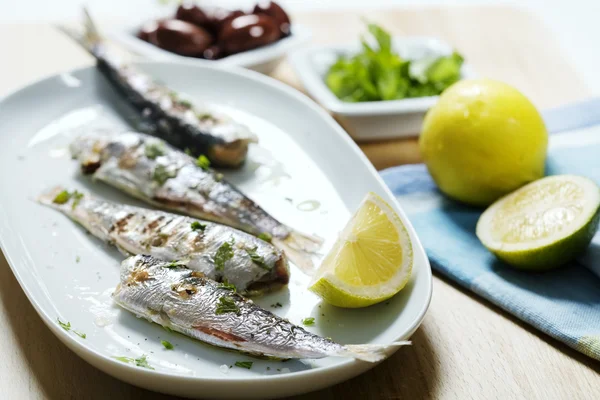 Grilované sardinky — Stock fotografie
