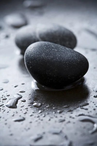 Pedras pretas com uma folha, foco na folha — Fotografia de Stock