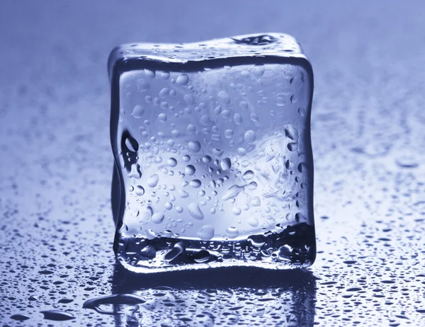 Cubo de hielo retroiluminado, con gotitas —  Fotos de Stock