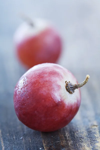 Closeup of red grapes — Stock Photo, Image