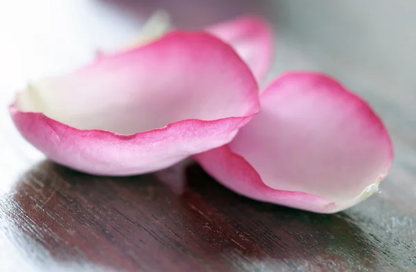 Pétalos de rosa frescos en madera —  Fotos de Stock