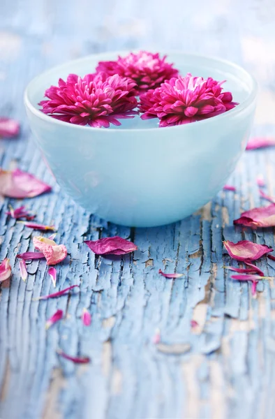 Flowers floating in water in bowl — Stock Photo, Image