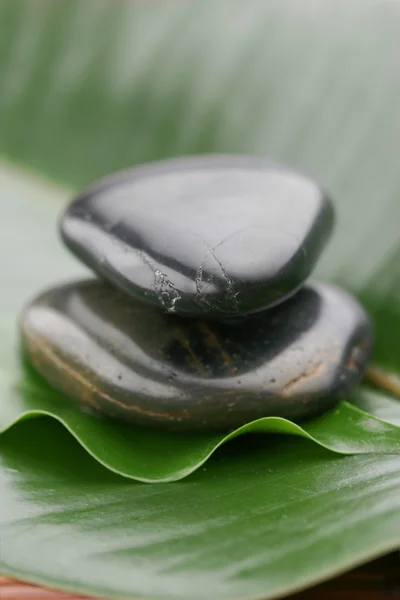 Два камня друг на друге на зеленом листе — стоковое фото
