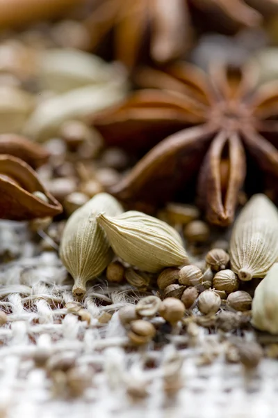 stock image Spices