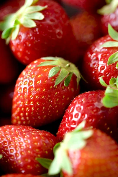 Frische reife Erdbeeren Nahaufnahme — Stockfoto