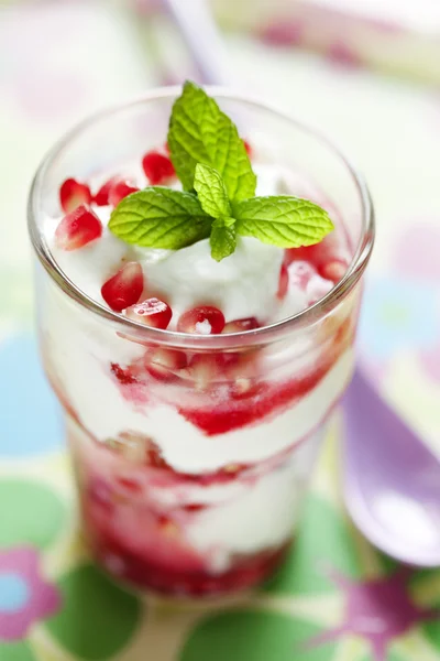 Jogurt s granátovým jablkem — Stock fotografie