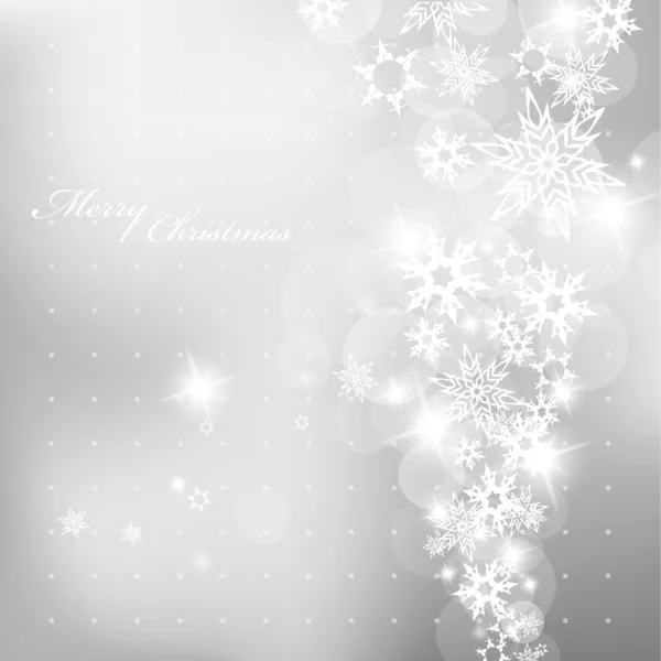 Christmas silver background with snow flakes. — Stock Vector