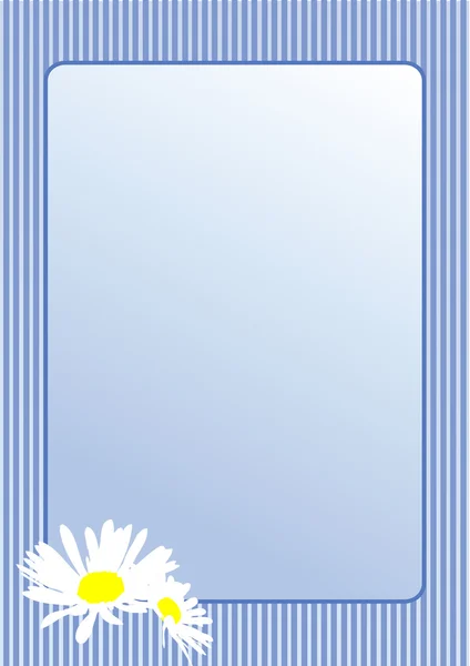 Cartão postal com flores de camomila. Vetor — Vetor de Stock