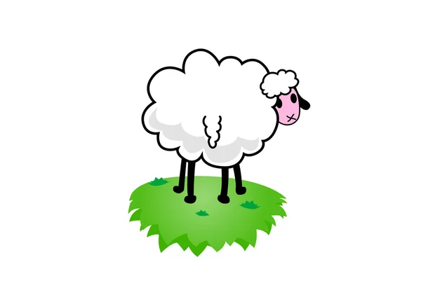 Illustration of sheep. Vector — Stock Vector