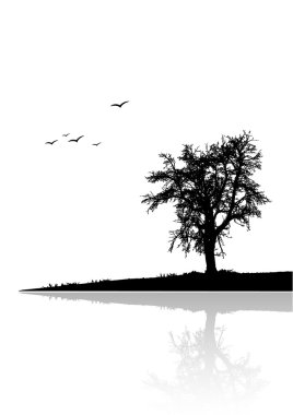 Lonely tree by the water. Vector clipart