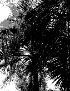 Silhouette of a palm tree. Vector art. clipart