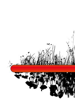 Grass and poppy flowers with place for your text. Vector. clipart