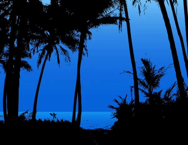 Palmy na pláži s modrou oblohu a moře. vektor — Stockový vektor
