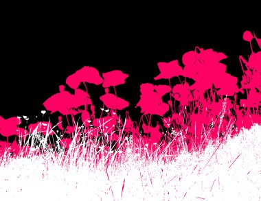 White grass with pink poppy flowers. Vector clipart