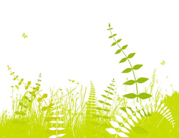 Illustration avec des plantes. Vecteur — Image vectorielle
