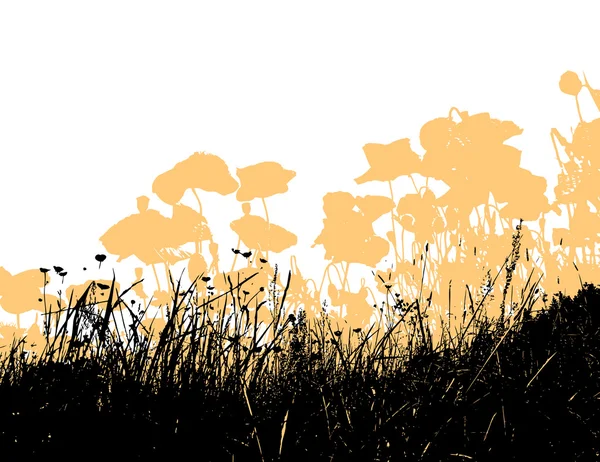 与淡橙色的罂粟花的黑草。矢量 — 图库矢量图片
