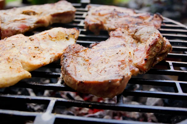 stock image Grilled meat