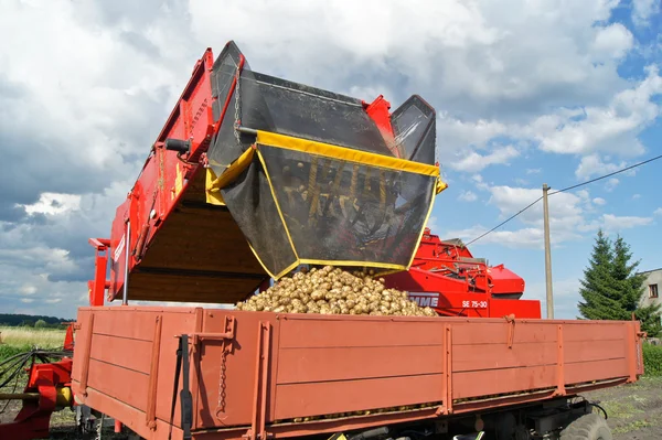 Kombajn na sběr brambor nalila aktuálně vybrané brambory v autě — Stock fotografie