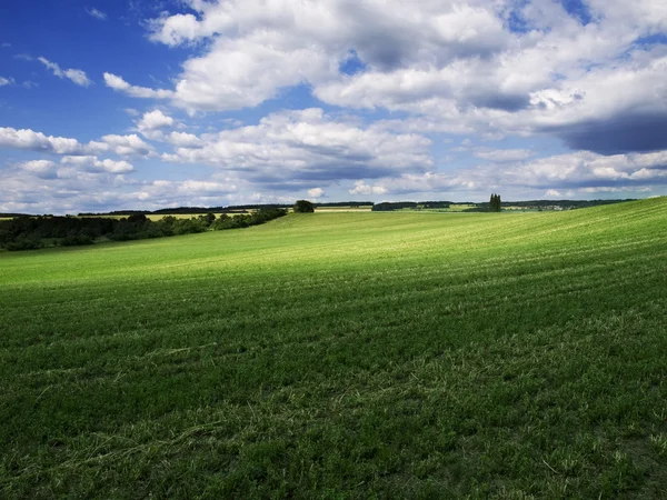 stock image Summer landscape