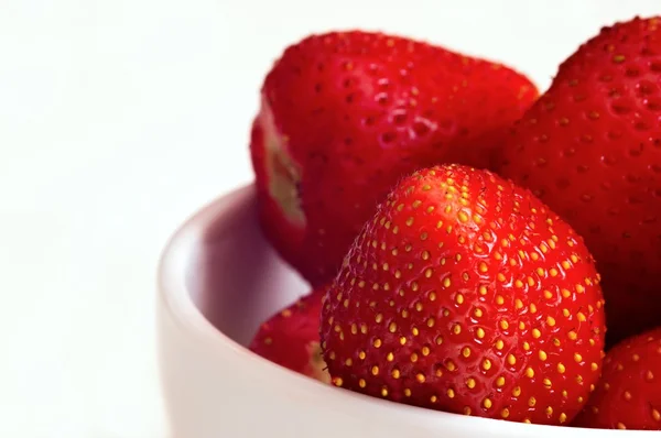 在培养皿中的草莓 — 图库照片