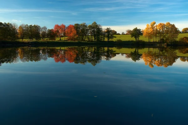 Autumn pond — Stock Photo, Image