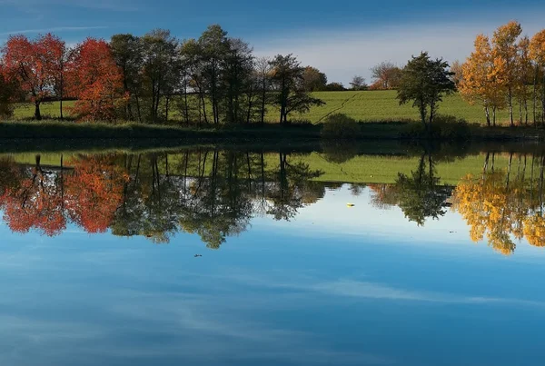 Autumn pond — Stock Photo, Image