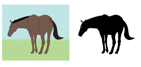 Atların resimli seti