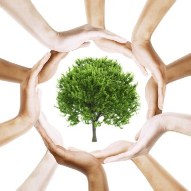 Symbol of the Tree with multiracial human hands around it clipart