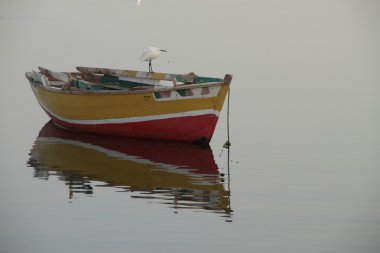 Fayoum, Mısır