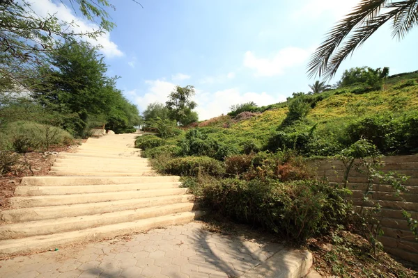 Azhar park in ägypten — Stockfoto