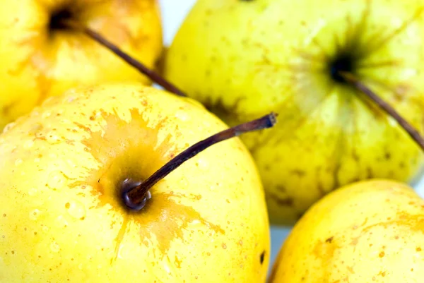 Jabłka żółty z bliska — Zdjęcie stockowe