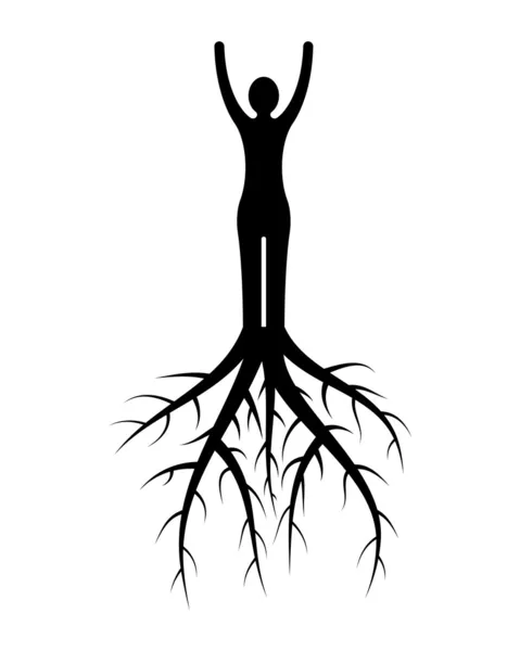 Kvinna rötter — Stock vektor