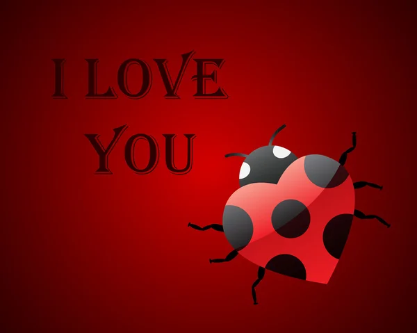 Ladybug card — Stock Vector
