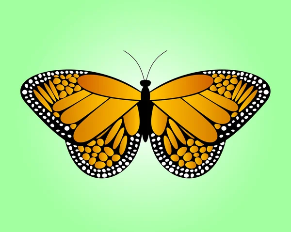 Pomarańczowy motyl — Wektor stockowy