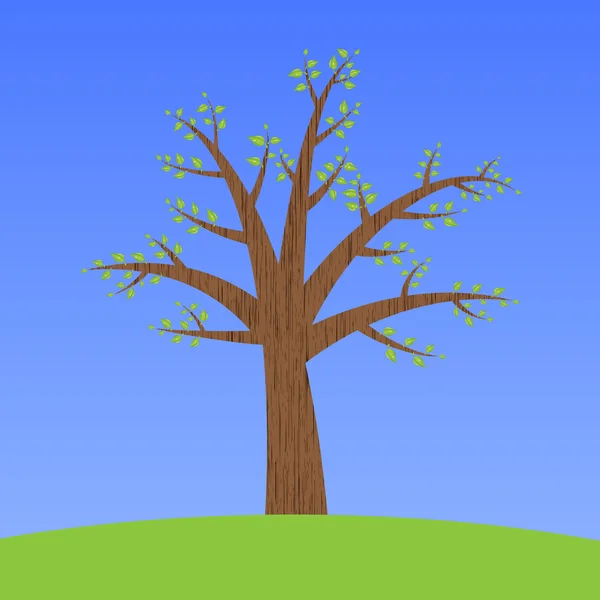 Träd med blad — Stock vektor
