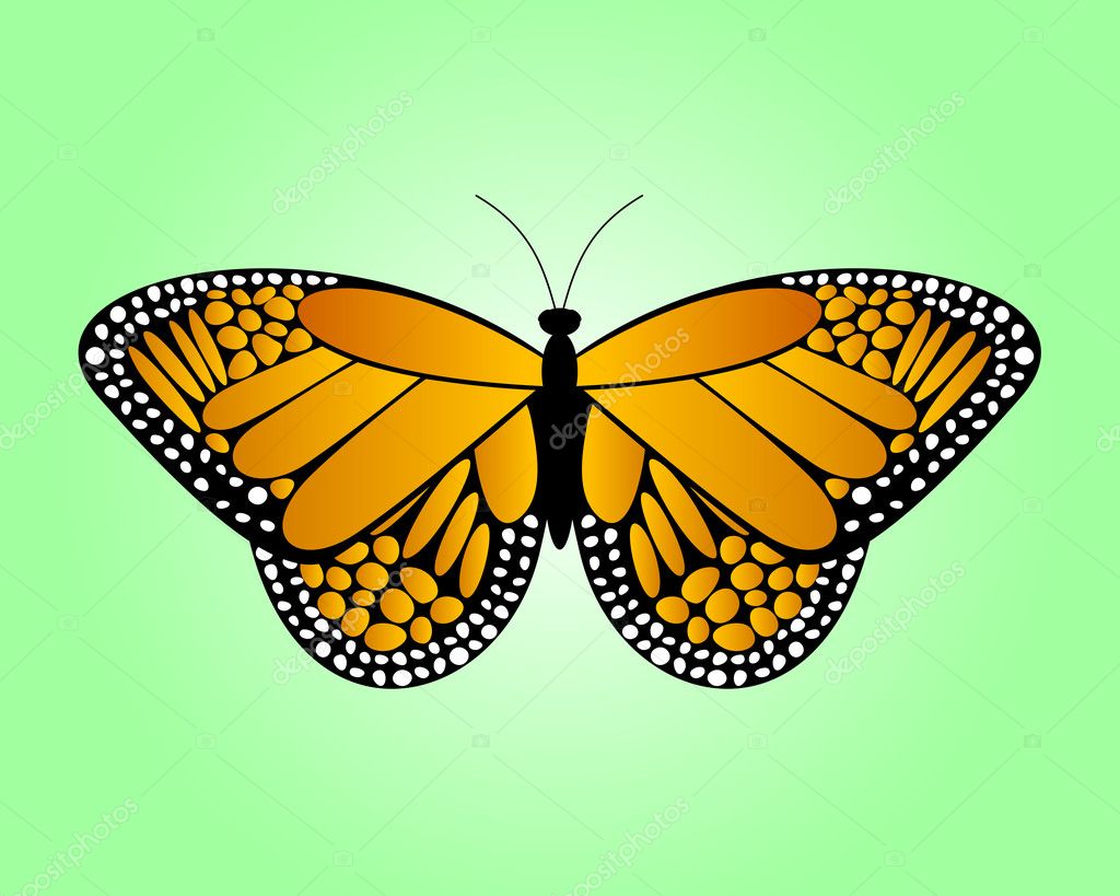 Download Orange butterfly — Stock Vector © toponium #6375433