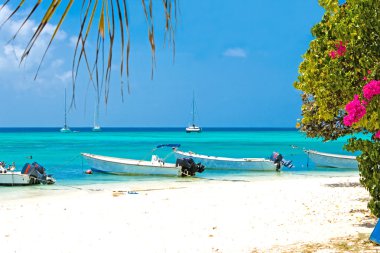 tropikal plaj, venezuela