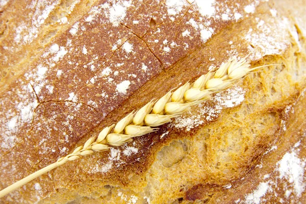 Diepte en de textuur van zelfgebakken brood — Stockfoto