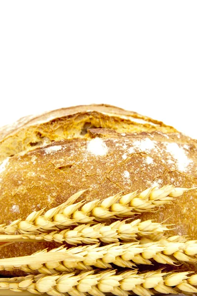 Isolerad på vitt bröd — Stockfoto