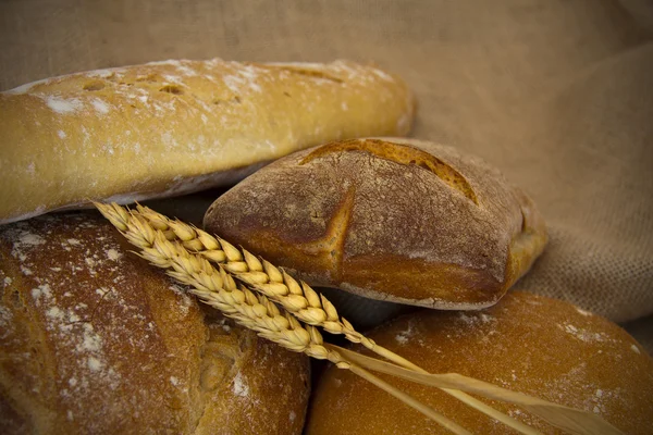 Composição de pão artesanal — Fotografia de Stock