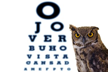 Letters owl eye doctor's office clipart