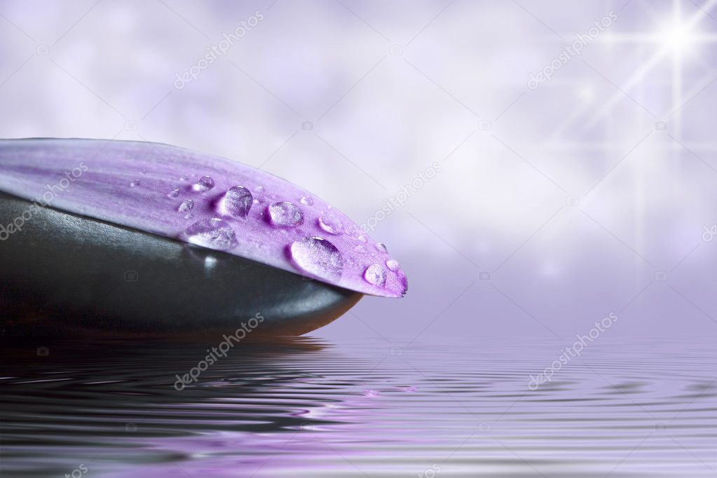 Flower petal with water droplets