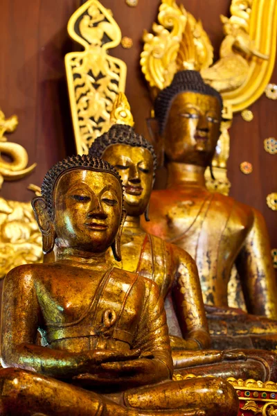 Goldene Buddha-Bilder aus Nordthailand. — Stockfoto
